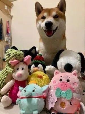 文章附图